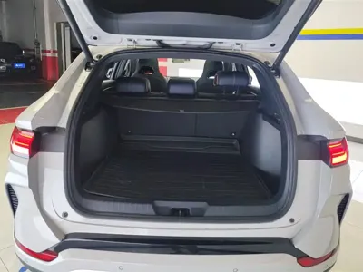 BYD PLUS New Energy 2024, 42100 км, за 12771.97 USD