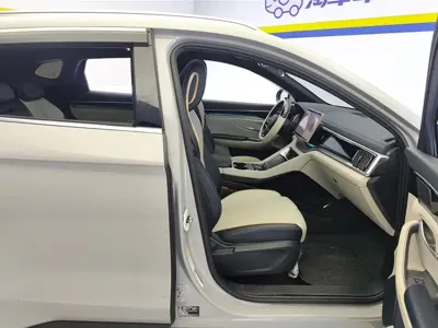 BYD PLUS New Energy 2024, 42100 км, за 12771.97 USD - фото 8