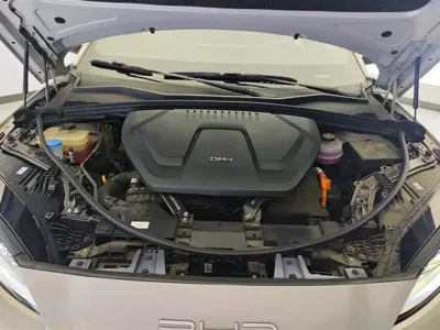 BYD PLUS New Energy 2024, 42100 км, за 12771.97 USD - фото 10