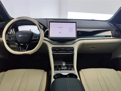 BYD PLUS New Energy 2024, 42100 км, за 12771.97 USD - фото 12