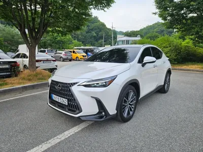 Lexus NX · 2024 год