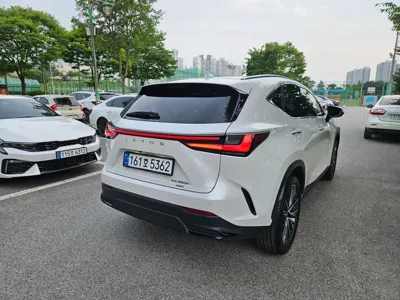 Lexus NX 2024, 18462 км, за 41354.86 USD