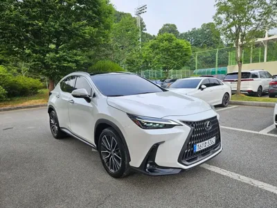 Lexus NX 2024, 18462 км, за 41354.86 USD