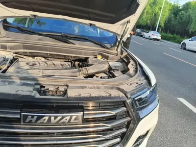 Haval H6 2021, 28000 км, за 10211.69 USD - фото 22