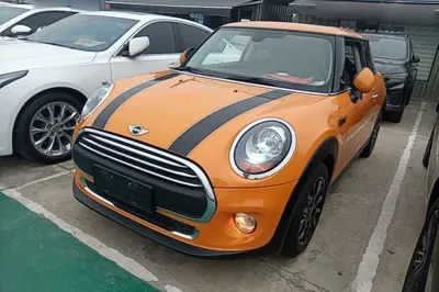 MINI MINI · 2014 год