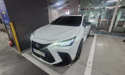 Lexus NX · 2023 год