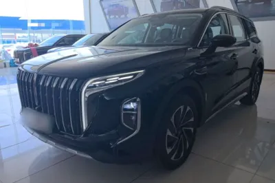 Hongqi HS7 PHEV · 2024 год