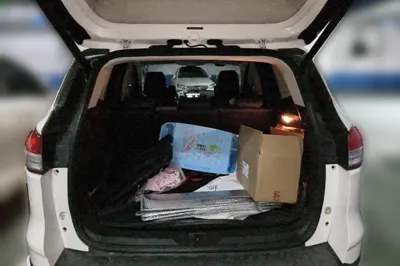 Ford Kuga · 2015 год