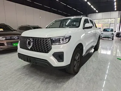Great Wall Pao · 2024 год