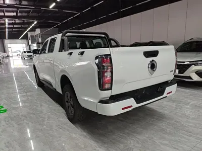 Great Wall Pao 2024, 2500 км, за 11863.61 USD