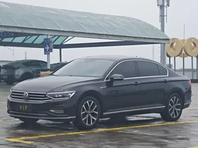 Volkswagen Magotan · 2021 год