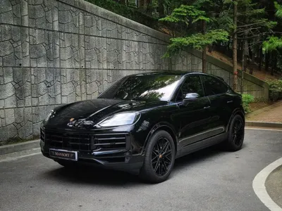 Porsche Cayenne · 2024 год