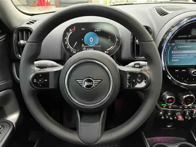 MINI Mini Countryman 2024, 26000 км, за 33893.83 USD