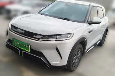BYD Yuan Up · 2024 год
