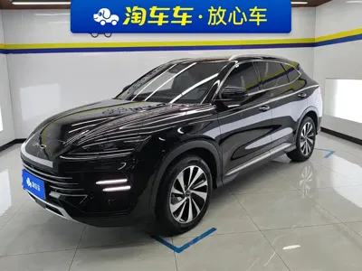 BYD PLUS New Energy · 2024 год