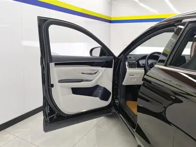 BYD PLUS New Energy 2024, 51700 км, за 12668.97 USD - фото 7