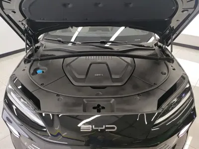 BYD PLUS New Energy 2024, 51700 км, за 12668.97 USD - фото 10