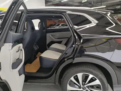 BYD PLUS New Energy 2024, 51700 км, за 12668.97 USD - фото 11
