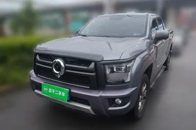 Great Wall King Kong Poer · 2024 год