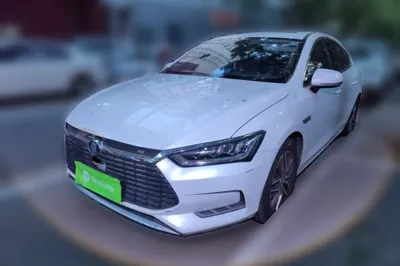 BYD Qin Pro New Energy · 2019 год