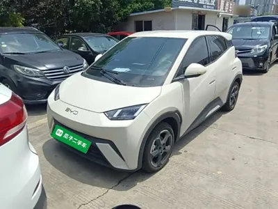 BYD Seagull · 2024 год