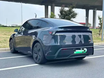 Tesla Model Y 2025, 10000 км, за 30692.3 USD - фото 8