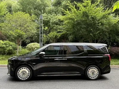 Zeekr 009 2024, 73000 км, за 64999.85 USD