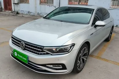 Volkswagen Magotan · 2020 год