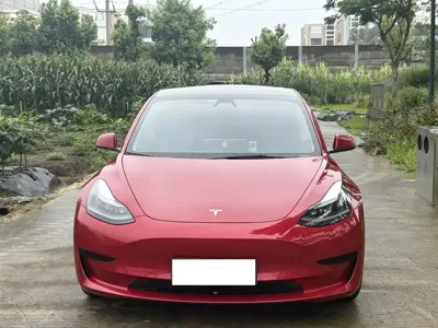 Tesla Model 3 2021, 100000 км, за 14820.79 USD