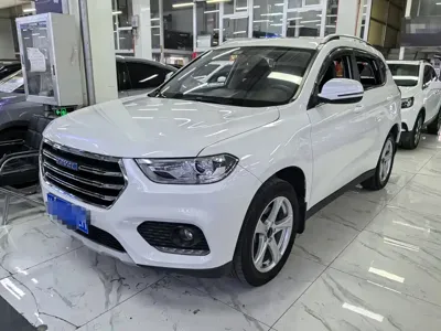 Haval H2 · 2019 год
