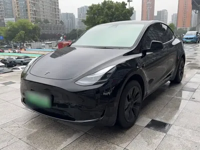 Tesla Model Y · 2023 год