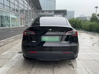 Tesla Model Y 2023, 51600 км, за 25749.94 USD - фото 9
