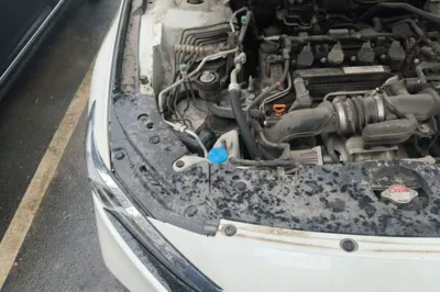 Honda Accord 2018, 82400 км, за 14989 USD - фото 23