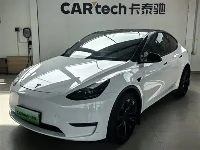 Tesla Model Y · 2021 год