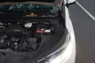 Honda Avancier 2019, 72100 км, за 15586 USD - фото 22
