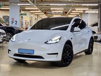 Tesla Model Y · 2023 год