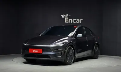Tesla Model Y · 2025 год