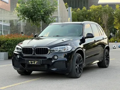 BMW X5 (Import) · 2019 год