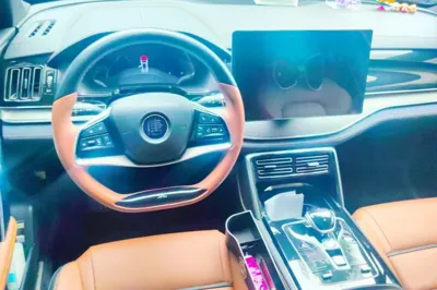 BYD Tang New Energy 2021, 37700 км, за 13234 USD - фото 6