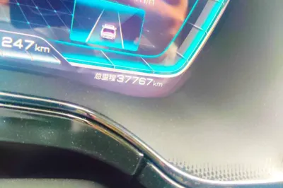 BYD Tang New Energy 2021, 37700 км, за 13234 USD - фото 9