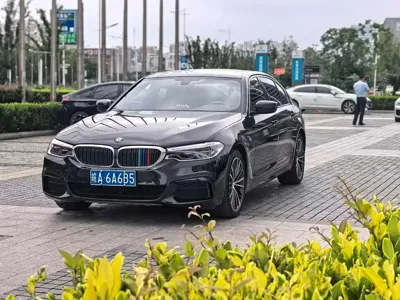 BMW 5 Series · 2020 год