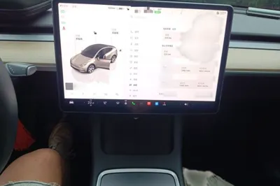 Tesla Model Y 2021, 69800 км, за 27492 USD - фото 12