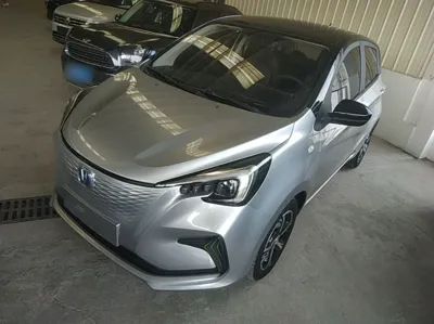 Changan Benni E-Star · 2020 год