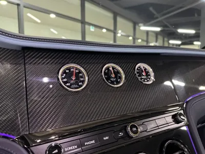 Bentley Continental 2025, 730 км, за 305531.97 USD - фото 13