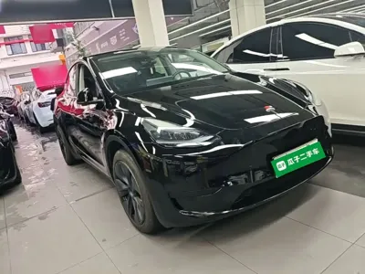 Tesla Model Y 2023, 71000 км, за 24778.8 USD