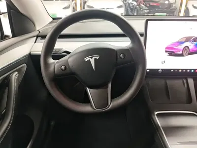 Tesla Model Y 2023, 71000 км, за 24778.8 USD - фото 11