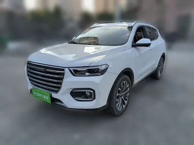 Haval H6 · 2020 год