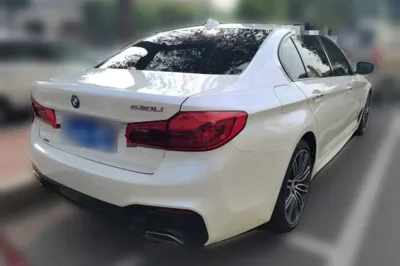 BMW 5 Series 2018, 171600 км, за 17965 USD - фото 6