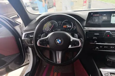 BMW 5 Series 2018, 171600 км, за 17965 USD - фото 10