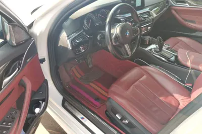 BMW 5 Series 2018, 171600 км, за 17965 USD - фото 16